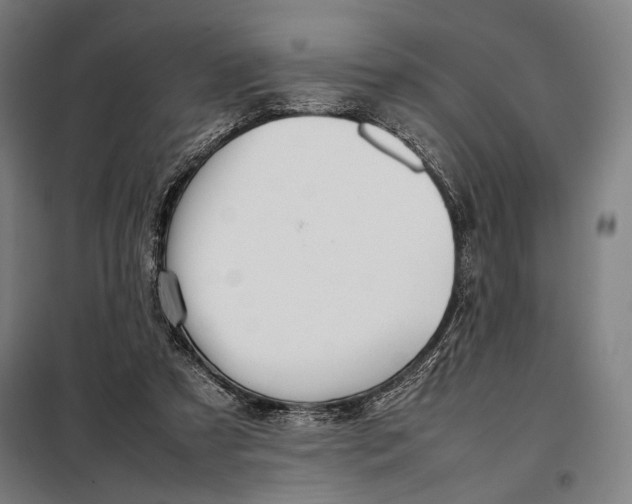 X0000097900305200804041443