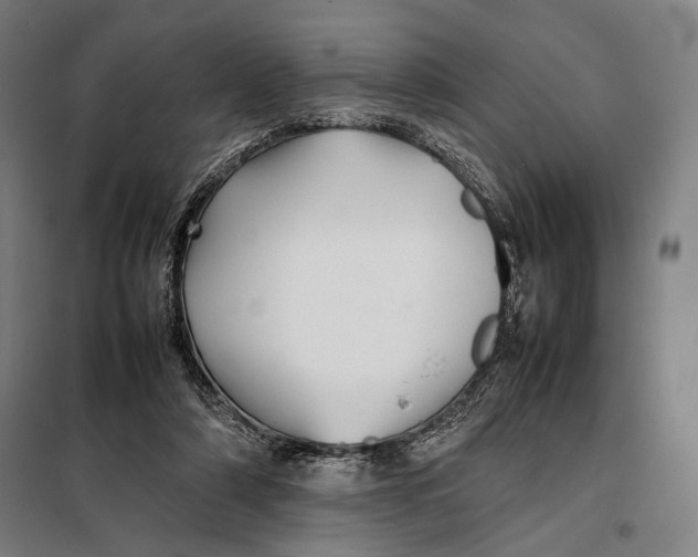 X0000097900306200804041443