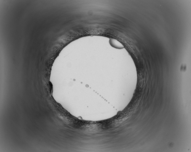 X0000097900307200804041443