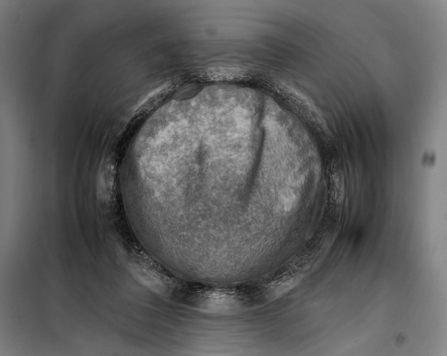 X0000097900308200804041443