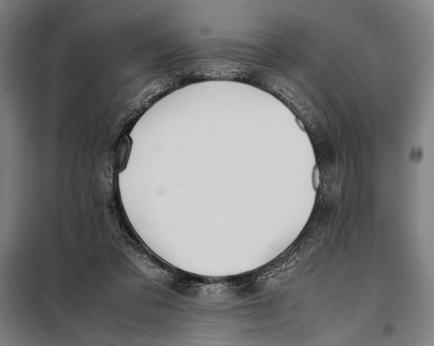 X0000097900309200804041443