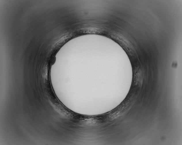 X0000097900310200804041443