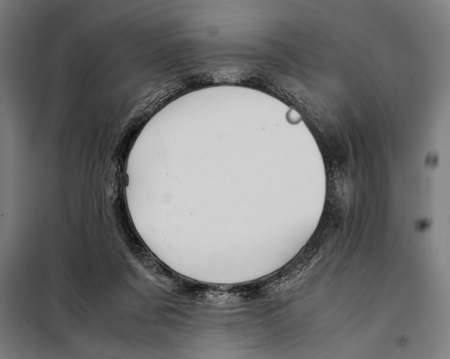 X0000097900311200804041443