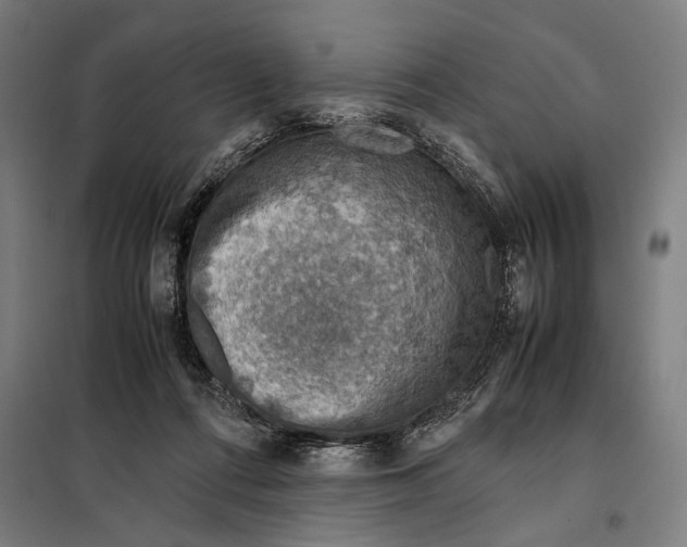 X0000097900312200804041443