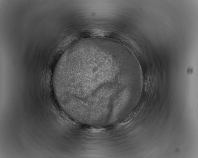 X0000097900314200804041443