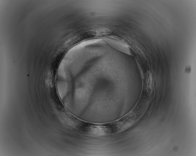 X0000097900316200804041443