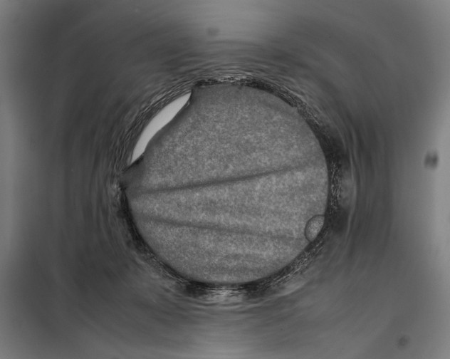 X0000097900319200804041443