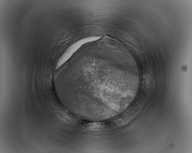 X0000097900320200804041443