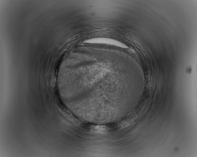 X0000097900324200804041443