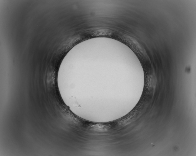 X0000097900326200804041443