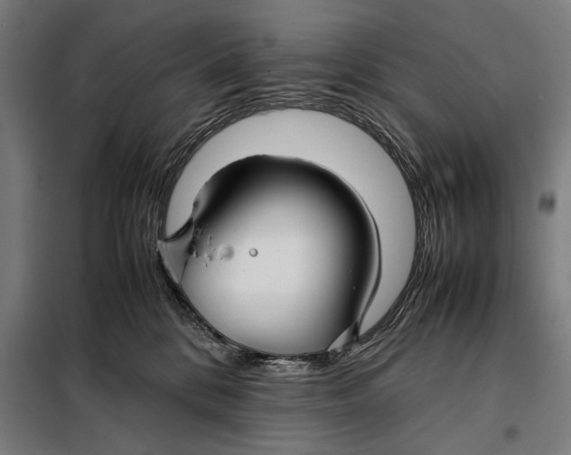 X0000097900328200804041443