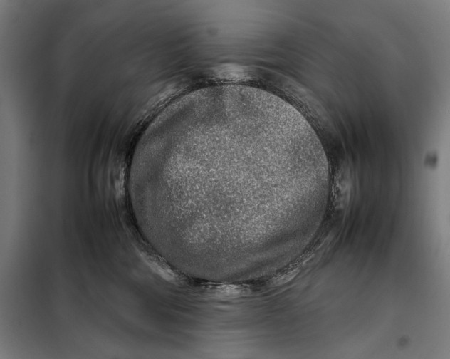 X0000097900330200804041443