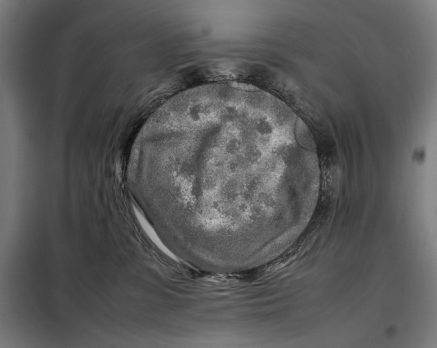 X0000097900331200804041443