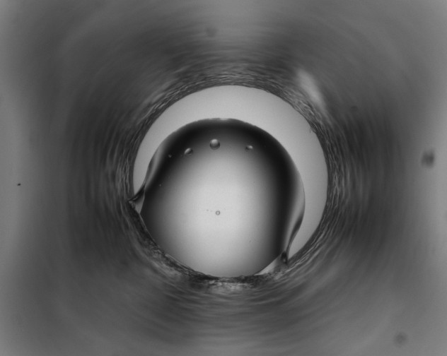 X0000097900332200804041443