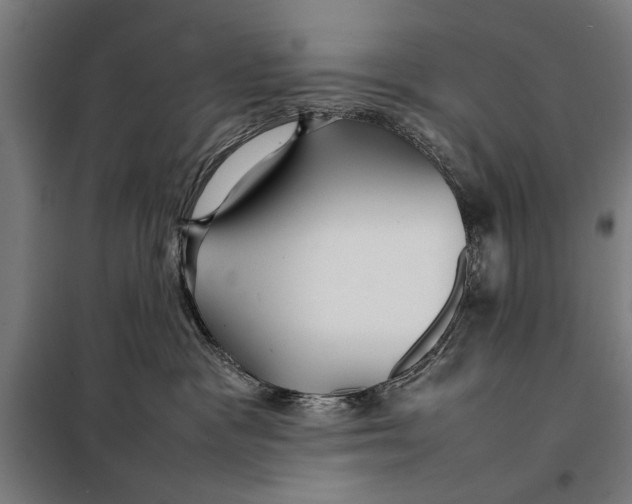 X0000097900333200804041443