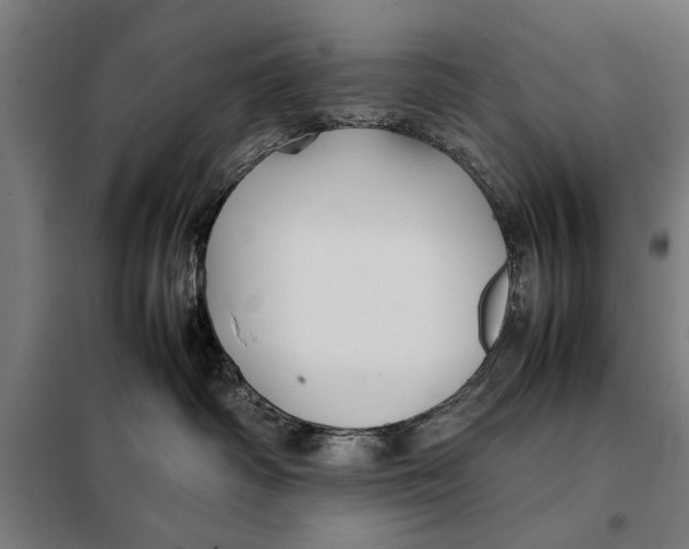 X0000097900334200804041443