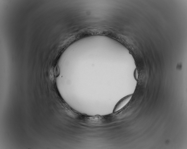 X0000097900335200804041443