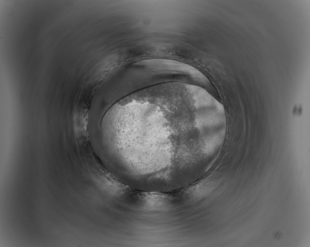 X0000097900336200804041443