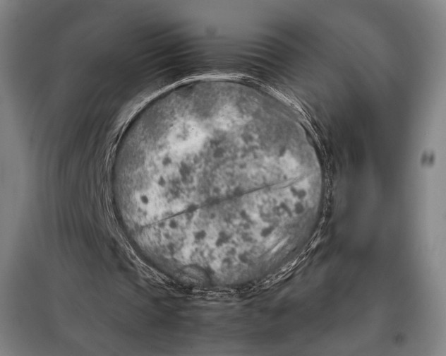 X0000097900337200804041442