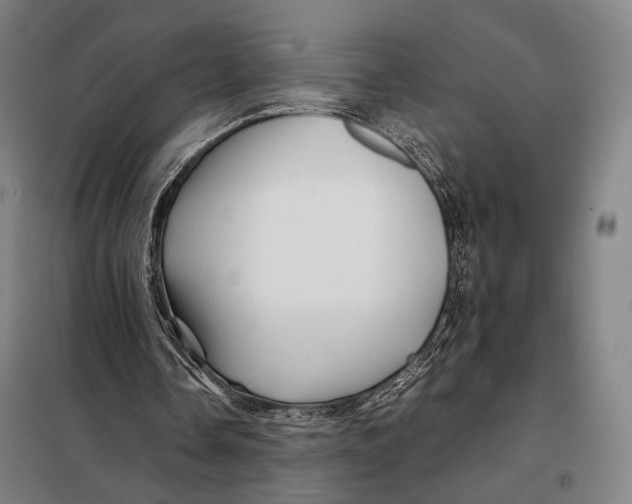 X0000097900338200804041442