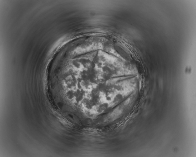 X0000097900339200804041442