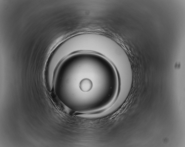 X0000097900340200804041442