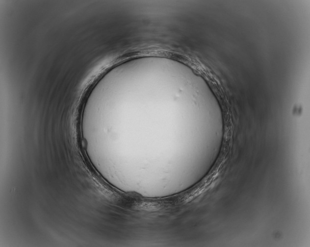 X0000097900341200804041442