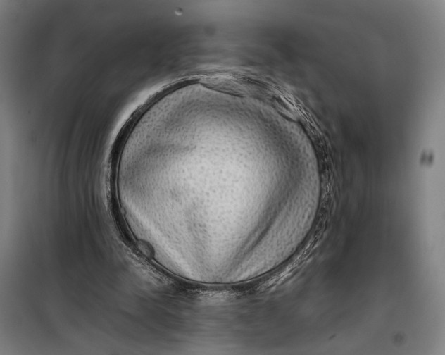 X0000097900342200804041442