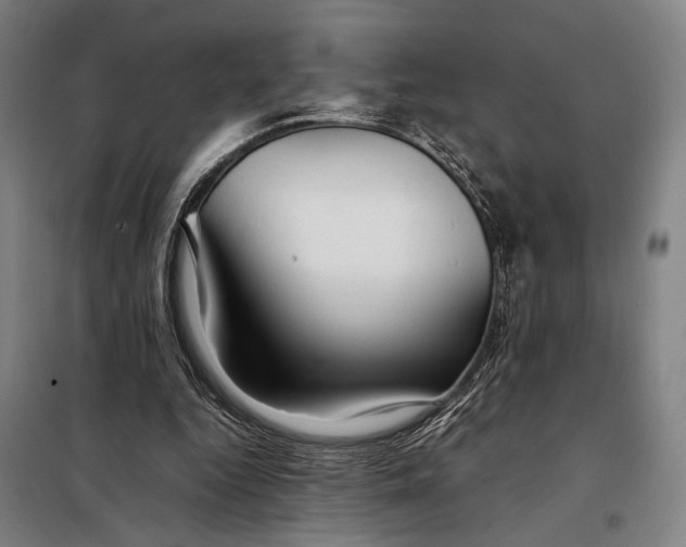 X0000097900344200804041442