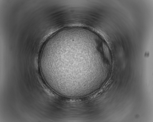 X0000097900345200804041442