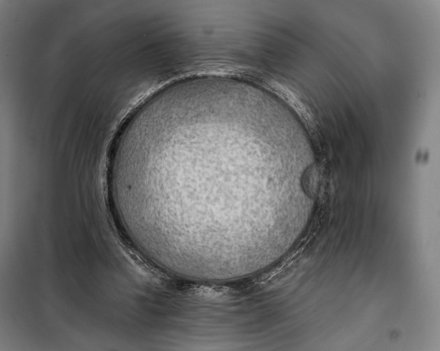 X0000097900346200804041442