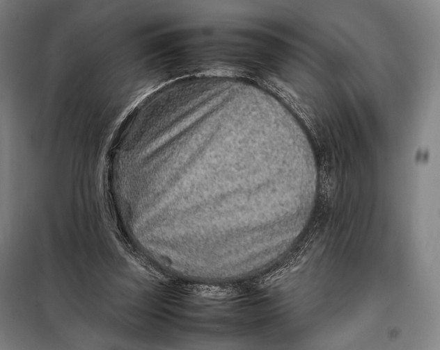 X0000097900347200804041442