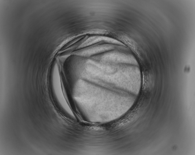 X0000097900348200804041442