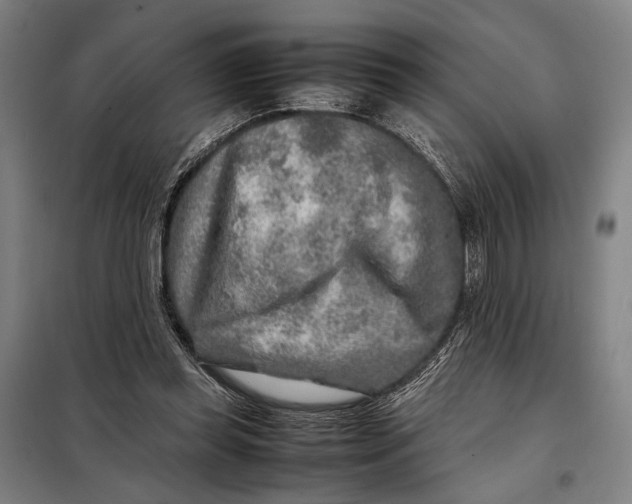 X0000097900349200804041442