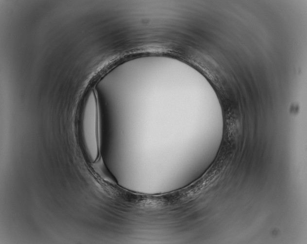 X0000097900350200804041442