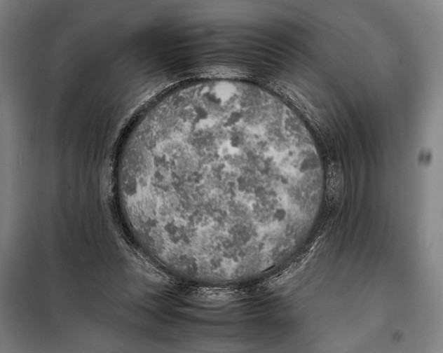 X0000097900351200804041442