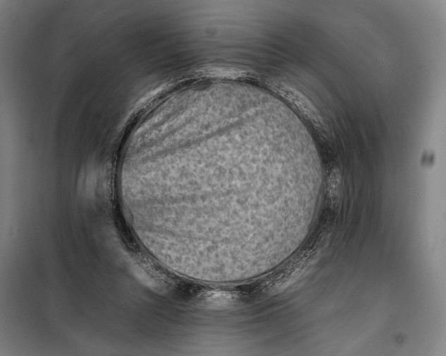 X0000097900352200804041442