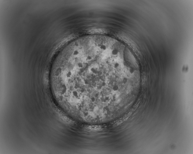 X0000097900353200804041442