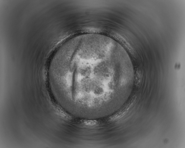 X0000097900355200804041442