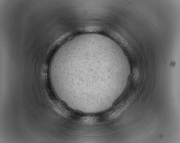 X0000097900356200804041442