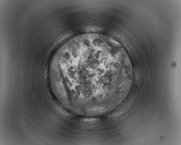 X0000097900357200804041442