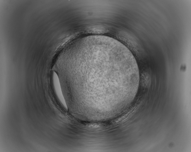 X0000097900358200804041442