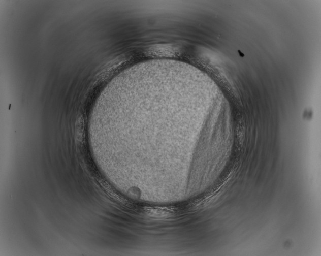 X0000097900359200804041442