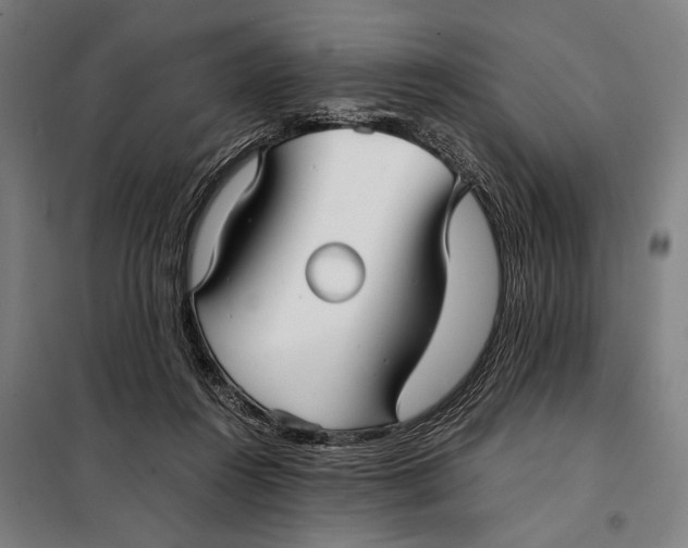 X0000097900360200804041443