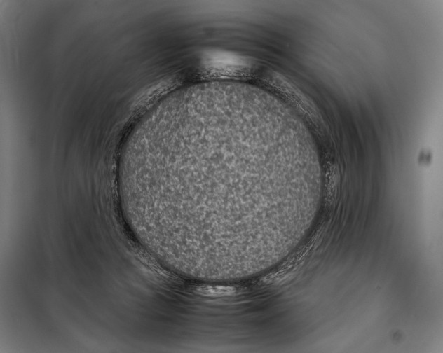 X0000097900361200804041443