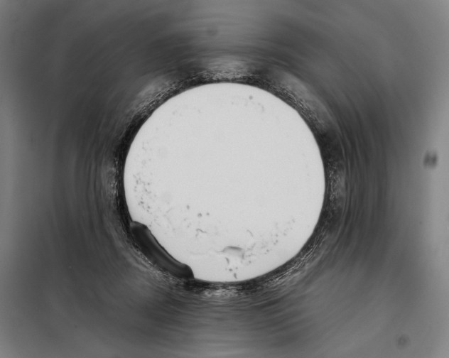 X0000097900362200804041443