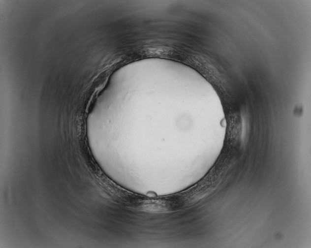 X0000097900363200804041443