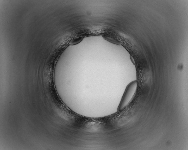 X0000097900364200804041443