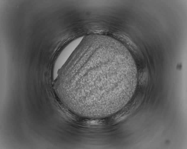 X0000097900365200804041443