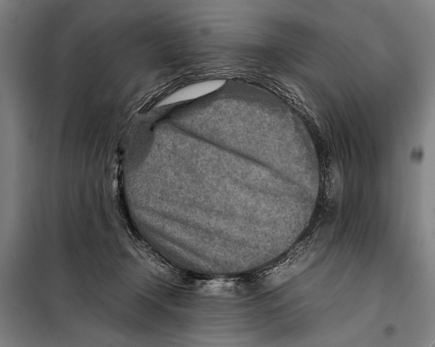 X0000097900366200804041443